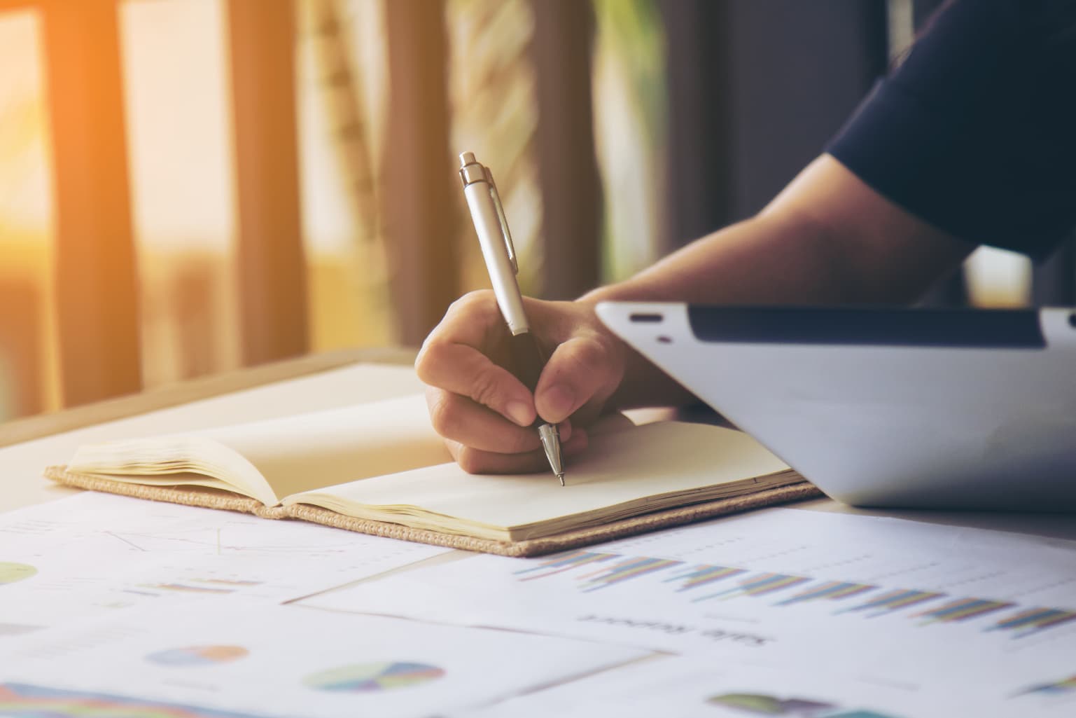 Concept Creation & Scripting